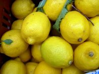 Lemon 