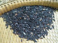 Black Sweet Rice (Black Glutinous Rice)