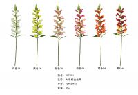 Long Single Stem Snapdragon