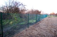 Fence mesh