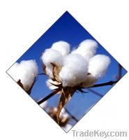 Raw cotton sell offer