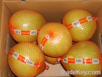 Sell honey pomelo
