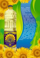 refined sunflower oil in bottles