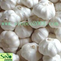 Sell extra white garlic