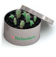 Sell mini plant set