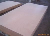 Sell plywood plywood  F/B:Okoume , Bintangor , Birch , hardwood veneer