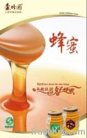 Sell Wild chrysanthemum honey