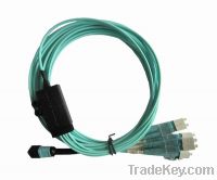 Sell MTP/MPO Fan-out assembly cable