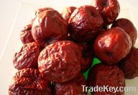 Sell Jujube;Golden-Silk Jujube