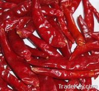 Sell Red Chilli Hot Red Pepper