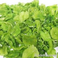 Sell dried lettuce slice