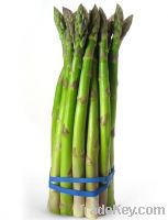Sell Frozen green asparagus