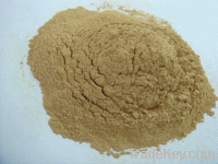 Sell Ginkgo biloba extract