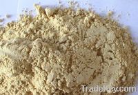 Sell Horseradish powder