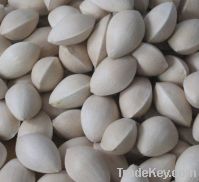 Sell  Fresh Ginkgo  Pizhou White Nuts