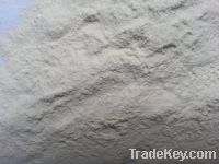 Sell Dehydrated Garlic Powder