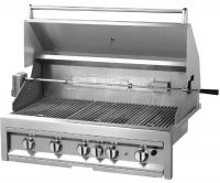 BBQ Gas Grill