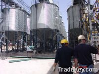 Grain steel silo for wheat, corn, barley storage