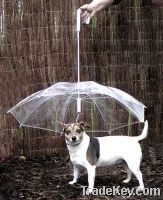 Sell Pet Umbrella