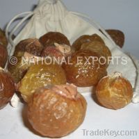 Wholesale Bulk Soap Nuts (Sapindus Mukorossi)