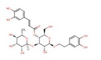 Sell verbascoside