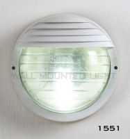 Sell Wall mounted light #1551 100-240V Plastic body E27-CFL 13W IP54