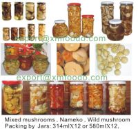 Sell Canned mushroom(champignons)