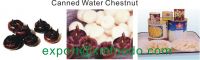 Sell Canned Canned water chestnut Slice/Whole/Dice