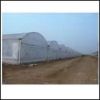 Sell polycarbonate sheet for greenhouse