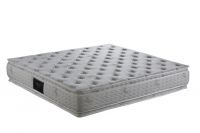 Sell pocket spring mattress