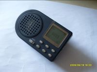 Sell Hunting bird mp3 player