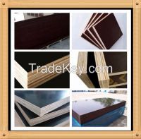Film faced plywood for construction concrete plywood board