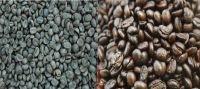 Sell  arabica green coffee bean