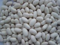 Sell white kideny beans, japanese variety