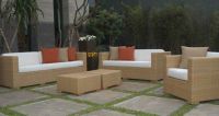rattan sofa sets/ rattan furniture HS-2005