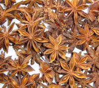 Sell Star-Aniseed With High Quality