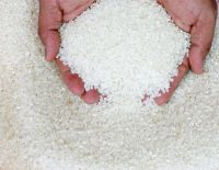 Sell White Rice Long Grain 25% Broken