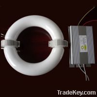 Sell induction light