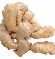 Sell Ginger Powered Extract
