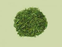 Sell Green Tea Powered Extract