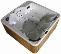 Classic Model Outdoor SPA/Hot Tub (SPA-8805)