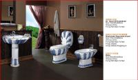decorated toilet and pedestal basin