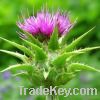 Sell Milk Thistle Extract