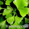 Sell Ginkgo Biloba Extract