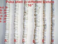 Sell puka shell in lower price fresh from the farm