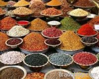 Sell Indian Spices