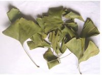 Sell Organic Ginkgo Leaf