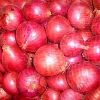 FRESH RED ONIONS AVAILABLE AT BEST PRICE