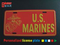 Novelty Licence Plate (SWT309)