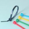China Manufacture Nylon Cable Ties
